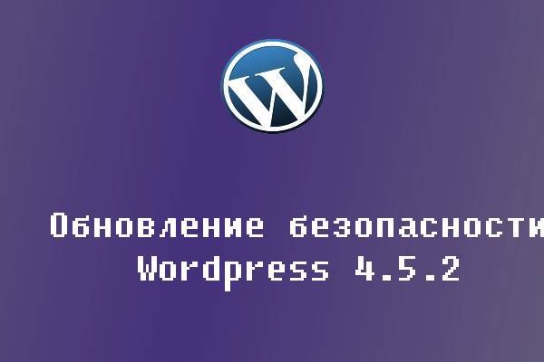 Что можно купить в кракене